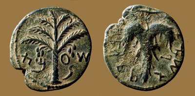 Monete commemorative della rivolta di Bar-Kokhba contro i Romani da Roman